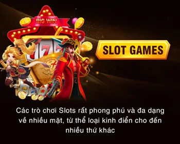 Hình ảnh đa dạng trò chơi cá cược tại VNZZ66